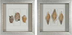 Sea Shell Shadow Box Wall Décor (2 Piece Set)