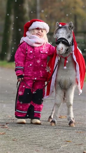 Christmas wish turns in to snow-white foal