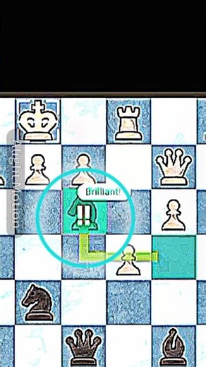 ✨ Brilliant Knight 🦄 Sacrifice ❕❕✨ #chess #shorts #viral#brilliantmove