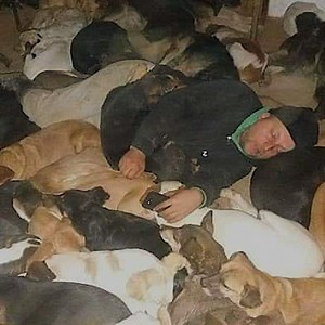 This guy has rescued hundreds of dogs and sleeps in -4 degree weather with them. Let's help him build a winter shelter! | The Dodo
