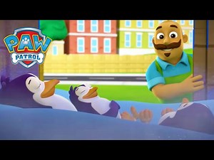 The Best Animal Rescues! - PAW Patrol Episode - Cartoons for Kids - Videos For Kids