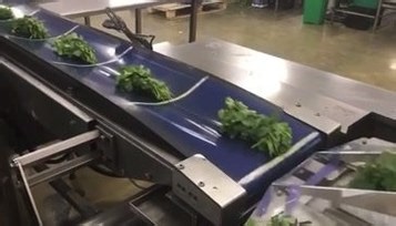 Redpack’s NTS is an industry leading Horizontal Top Seal flow wrapping machine that has been designed specifically for herbs and accommodates 50 product settings that automatically change the bag length, print registration, end crimp slow down, in feed position, machine speed, and printed code and label position. Are you ready to automate your herb pack lines? 🌿 | Fox Packaging and Fox Solutions