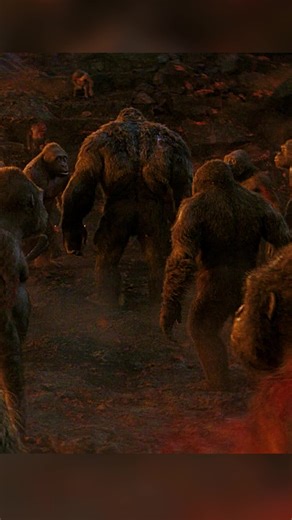 #fypシ #fyp #foryoupagе #movie #kingkong | King Kong