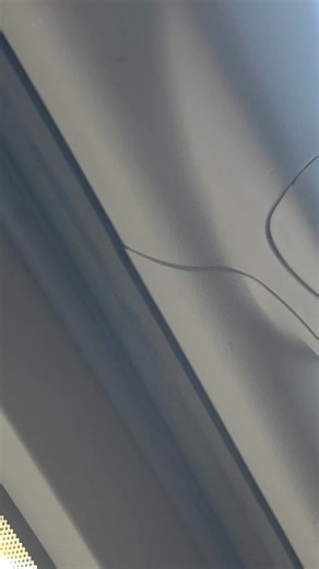 Just gonna sit this here. #reactionvids #wildvids #mlovevs #mlovereacts | Mustaffa Love