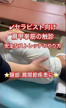 セラピスト向け！肩甲挙筋の触診と安全を考慮したストレッチのやり方！ #理学療法 #physiotherapy #腕の痺れ #肩こり #痺れ