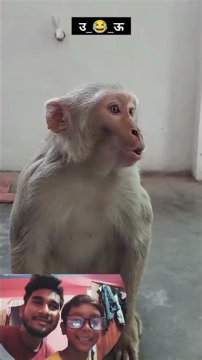 Guys yah kya tha 😲 hanste hanste pagal Ho jaaoge 🤣#funny #shorts #comedy