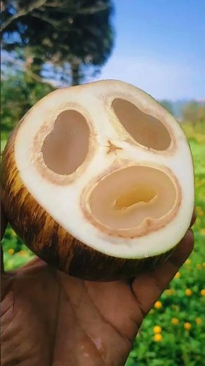 Discover the AMAZING Ice Apple Fruit!