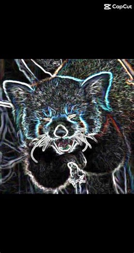 Neon editor