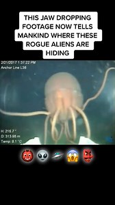 #aliens #AL #AlienNation | Ancient Aliens