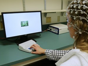 A Semantic Priming Event-related Potential ERP Task to Study Lexico-semantic and Visuo-semantic Processing in Autism Spectrum Disorder