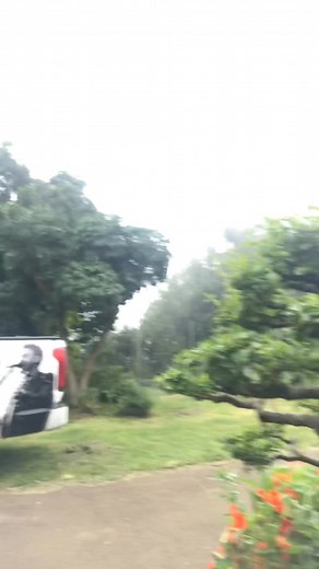 102 reactions · 10 comments | Quick prune before we head to jhb!! | Jason Hartman | Facebook