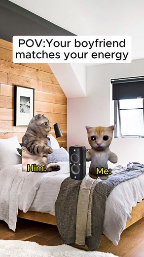 Divertidos Memes de Gatos para Compartir 😂❤️