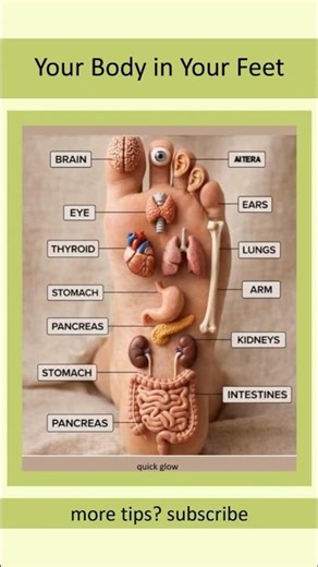 Foot Reflexology Points Explained #reflexology #healthtips #wellness #shorts #beautyshorts