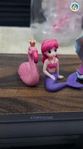 🐠 Beautiful Aquarium Fishes | AtoZ Pet Shop | Colorful Fish Collection 🌊✨