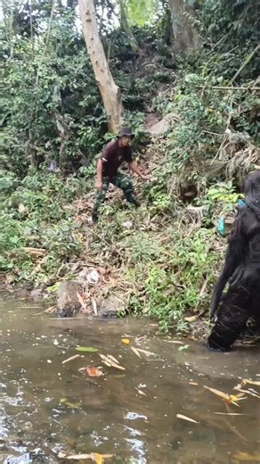 A Terrifying Incident While Camping Caught on Camera #horror #scary #creepy