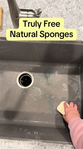 @Truly Free Home #kitchenfinds #cleantok #nontoxichome #naturalcleaning