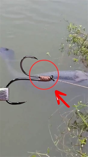Double Hook Trick That Keeps Fish from Escaping! #shorts