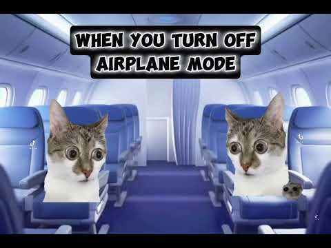 When you turn off airplane mode