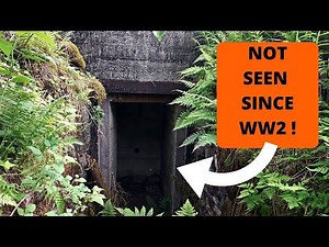 Lost German WW2 bunkers in the mountain. We found them !