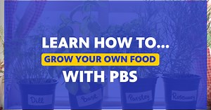 Learn How Grow Your Own Food with PBS