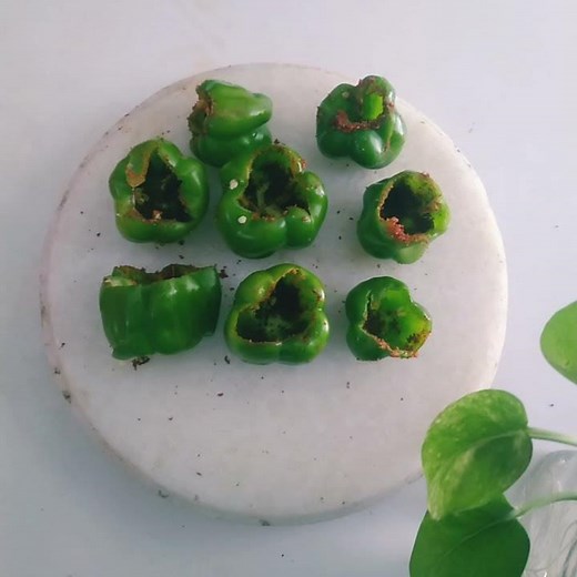 Masala Shimla Mirchi | Instant recipe