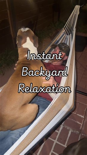 Hammock with stand that sets up fast so you can relax anywhere in your yard, patio, or porch. Perfect for backyard lounging, reading, or enjoying warm weather outside. @Sweetcrispy Store #hammock #backyardvibes #patioseason #outdoorliving #relaxathome