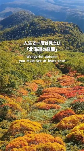 大雪山層雲峡・黒岳ロープウェイ on Instagram: "🍁北海道・層雲峡の秋を満喫🍁 日本一早い紅葉だと言われている！ 眼下に広がる層雲峡の渓谷美と、標高が上がるごとに深まる色合いはまさに絶景✨ 秋の澄んだ空気の中で見る山々は格別で、日常を忘れるひととき。 ロープウェイを降りた先には、さらにリフトで7合目まで行けるので、ハイキングや山歩きもおすすめです🏞️ 北海道の秋を味わうなら、黒岳は絶対に外せないスポット！ #層雲峡 #黒岳ロープウェイ #黒岳 #北海道観光 #紅葉スポット #絶景旅 #秋の北海道 #hokkaidotrip #japantravel #紅葉狩り"