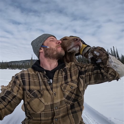 27K views · 1K reactions | Who else wants Java as their sidekick?  Watch #LifeBelowZero Tuesdays at 9/8c on National Geographic. Stream on Disney+ and Hulu. | Life Below Zero | Facebook