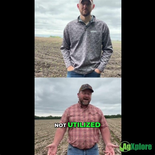 Why Molybdenum Is Becoming More Important With Today’s Nitrogen Prices