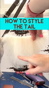 2M views · 5.8K reactions | ✂️HOW TO TRIM THE TAIL! ✂️ Cockapoo...