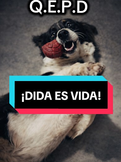 Dida es Vida: Tributo y Justicia para Dida