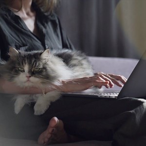 24 reactions | Is your cat your new work colleague? Do you want to keep them happy? Sign up to our blog :) https://uk.blog.feliway.com/?_ga=2.61096613.822769516.1587976741-481296215.1583840166#signup-form #hometogether #feliwayathome #petanxiety | Feliway | Facebook
