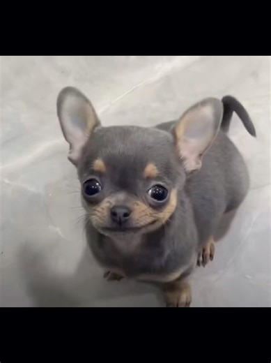 love to watch or stream games? join the server.. link in bio! #forzahorizon5 #discordserver #discord #livestream #gamers