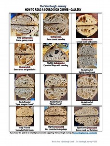 FAQ - Over-Proofed or Under-Proofed | The Sourdough Journey
