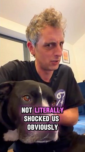 When the BBC took on The Kennel Club - Pedigree Dogs Exposed