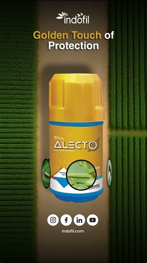 Golden Touch of Protection | Alecto | Insecticide