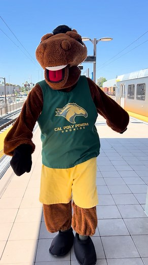 Getting to CPP via LA Metro just got easier! The A-line extension from Azusa to Pomona opens TODAY, Sept. 19 at 12pm. 🚆 How to get to campus from Metro ⬇️ 🚌 FREE Bronco Express Shuttle (with Bronco ID) from the Pomona North station. Also an option if you arrive via Metrolink! Bronco Express Shuttle schedule: https://www.cpp.edu/transportation/commuting-to-campus/bronco-shuttle.shtml 🚌 Foothill Transit Line 295 (with class pass) from the San Dimas station. Foothill Line 295 info: https://www.f