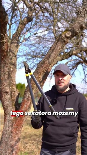 Ten duży sekator robi robotę 🌿✂️ Zestaw nożyc Powermat PM-ZNDZ-3T
