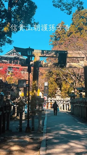 #信貴山 #朝護孫子寺 #信貴山縁起絵巻 #紅葉スポット #信貴山スカイライン | 下条真佐実