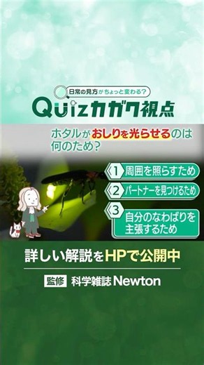 ホタルが尾を光らせるのは何のため？【Quizカガク視点】 #科学 #shorts #蛍
