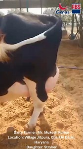 150K views · 3.3K reactions | ABS India Udder Challenge Entry Number:...