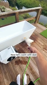 66K views · 2.2K reactions | Rescue a white duck was chased away from the flock by other ducks  #Amazing #animals #love #fyp #pet | Awesome Fishing | Facebook