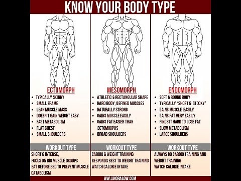 Ectomorph Body Type Fitness Program How To Get Big When You Are Skinny Ectomorph Fitness
