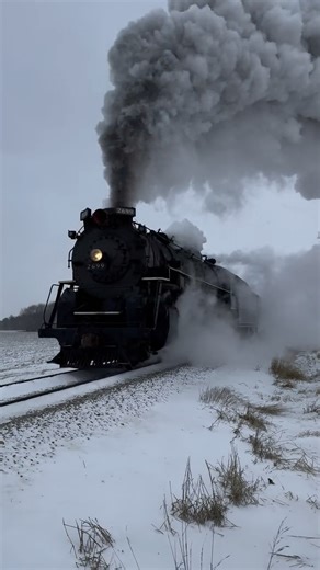 Adam Matthews on Instagram: "I like trains. I like snow. I like wind. I like cold. But I would be thrilled with eliminating ICE. Chesapeake & Ohio Railway No. 2699, Pere Marquette 1225 in disguise, performing a spectacular photo run by at South Woodbridge Road near Bannister, Michigan for the C&O 2699 Photo Charter. 1-18-26 #chesapeakeandohio #locomotive #trains #railfan #trainspotting"