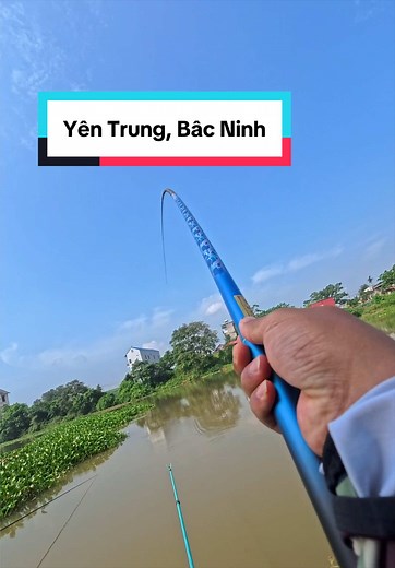 Điểm câu tự nhiên có “hàng” - Yên Trung, Bắc Ninh #cauca #fishing #xh | Fishing