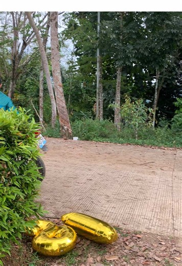 Charmiee (@char_miee__)’s videos with original sound - ꧁ARLYRICS꧂ - ARLYRICS