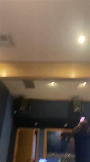 Professional Voiceover for Miraculous Ladybug Japanese Dub by Cristina Vee