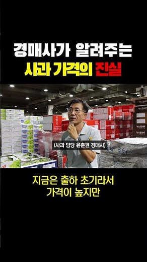 추석 앞두고 사과값 폭등? 사실은 이렇습니다