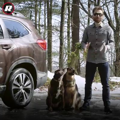 847K views · 2.8K reactions | People love taking their dogs for a ride in the car, but there are a few steps you might want to take to keep your car clean – and your pet safe. https://cbsn.ws/2HHhcYD | CBS News | Facebook