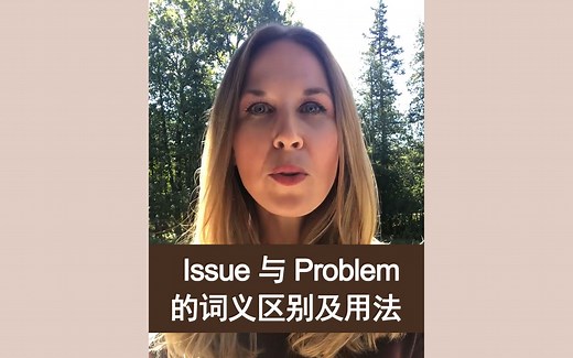 Issue 与 Problem 的词义区别及用法